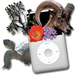 iPod with nature elements