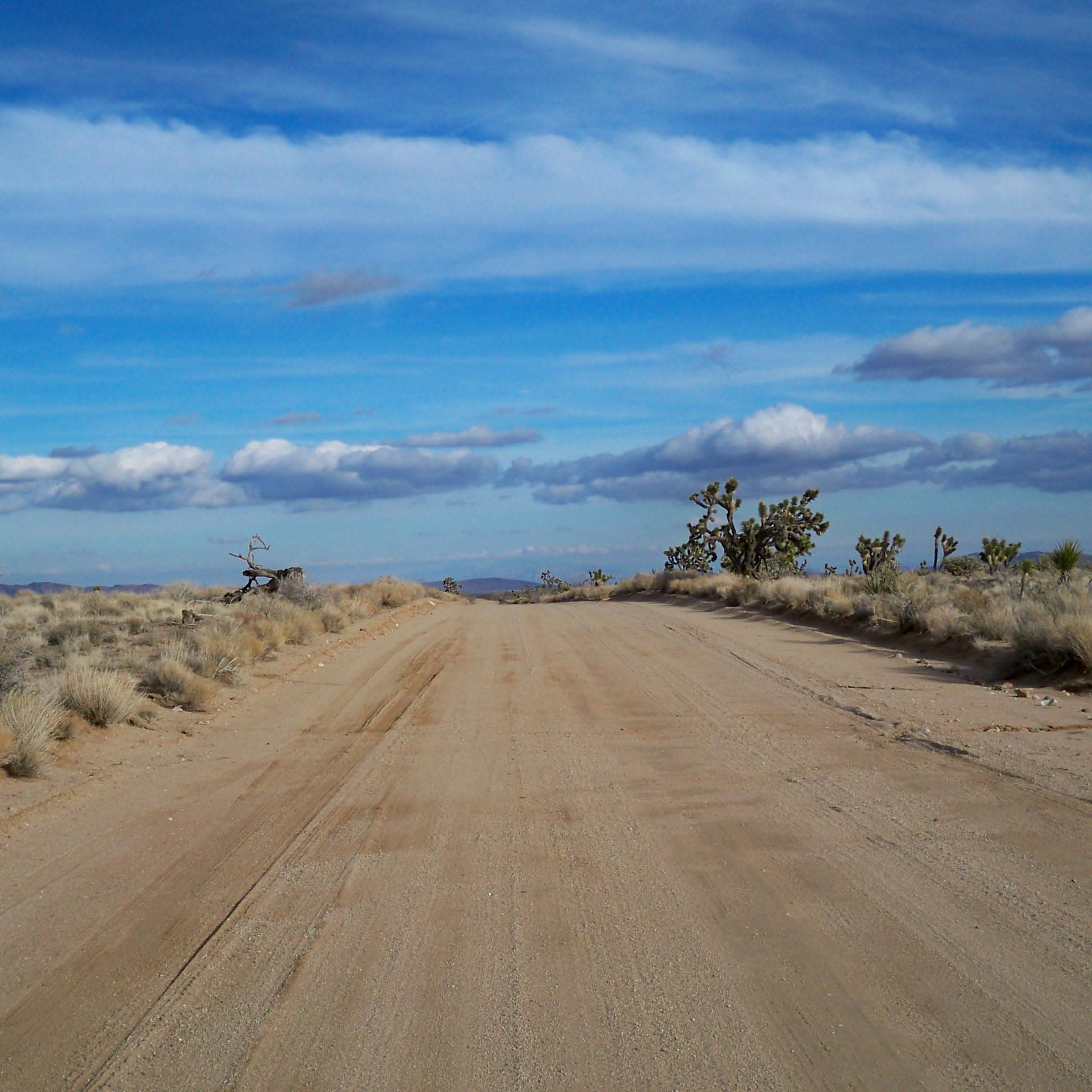 Road Conditions