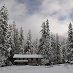 The historic Longmire Administration Building framed by snowy douglas fir.