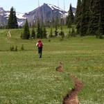 A hiker at Grand Park in Mount Rainier National Park.