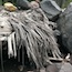 Geohazards
