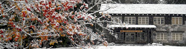 October snow, vine maples in fall color, and the historic Longmire Administration Building