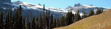 Fall color along the Wonderland Trail on Mount Rainier's eastern slopes