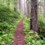 Park Trails