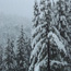 Winter Safety