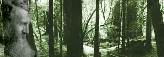John Muir / Muir Woods National Monument