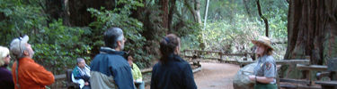 Muir Woods National Monument
