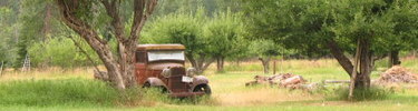 Meadows and apple trees of Buckner Orchard