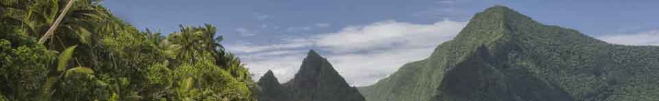 Tropical rainforest, coral reefs, fruit bats, and the Samoan culture provide enriching experiences.