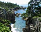 Photo of the Schoodic Coast in Acadia National Park