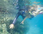 Photo of two snorkelers pointing at coral