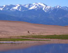Photo of Great Sand Dunes National Park and Preserve