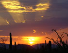 Photo of sunset in Alamo Canyon at Organ Pipe Cactus National Monument