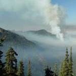 Wildland Fire Management