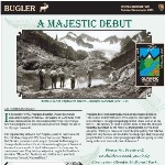 The Bugler