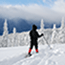 Hurricane Ridge in Winter