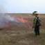 Fire Ecology