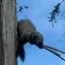 Fishers' Return