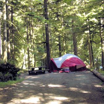 Camping in Olympic