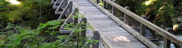 Hayes River Bridge