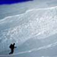 Test Your Avalanche Knowledge