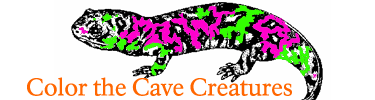 Color the cave creatures