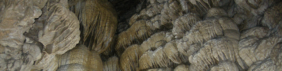 Photo of the vast drapery formations inside Oregon Caves National Monument.