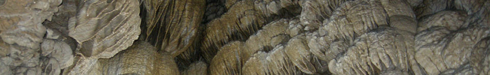 Photo of the vast drapery formations inside Oregon Caves National Monument.