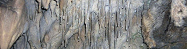 Soda straw stalactites found in Oregon Caves.