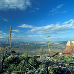 Canyon view