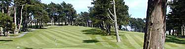 Presidio golf course