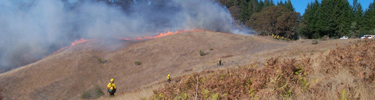 Bald Hills Fire