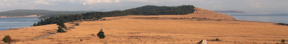 American Camp prairie and Mount Finlayson.