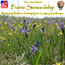 Prairie Stewardship Guide