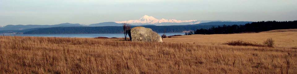 Mt. Baker from American Camp prairie