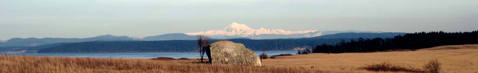 Mt. Baker from American Camp prairie