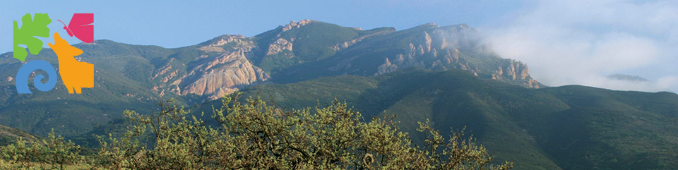 Afternoon clouds cover the distance peaks of the iconic Boney Mountain