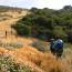 Trippet Ranch, Topanga State Park to Will Rogers State Historic Park