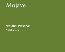 Mojave National Preserve