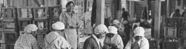 Tule Lake Segregation Center Historic Photo