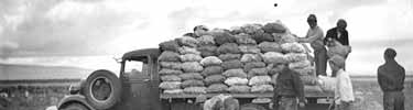 Tule Lake Segregation Center Historic Photo