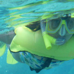Camper snorkeling on the great coral reef!