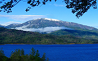 Shasta Bally Shasta Bally