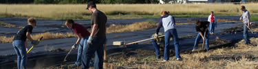 Students work next to the black mulch cloth that lines Doan Creek