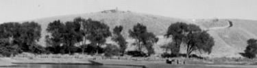 historic photo: view of hill and trees