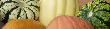 Four differnt types of squash