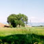 Learn more about what is available in Walla Walla