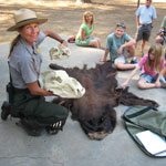 Interpretive Ranger giving a talk on black bears