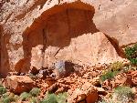 Large Rock Spall Near Trail