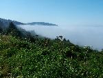 Fog at Hidden Beach